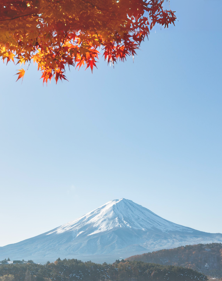 2025 Japan Maple Leaves Pre-Wedding Photoshoot Promotion