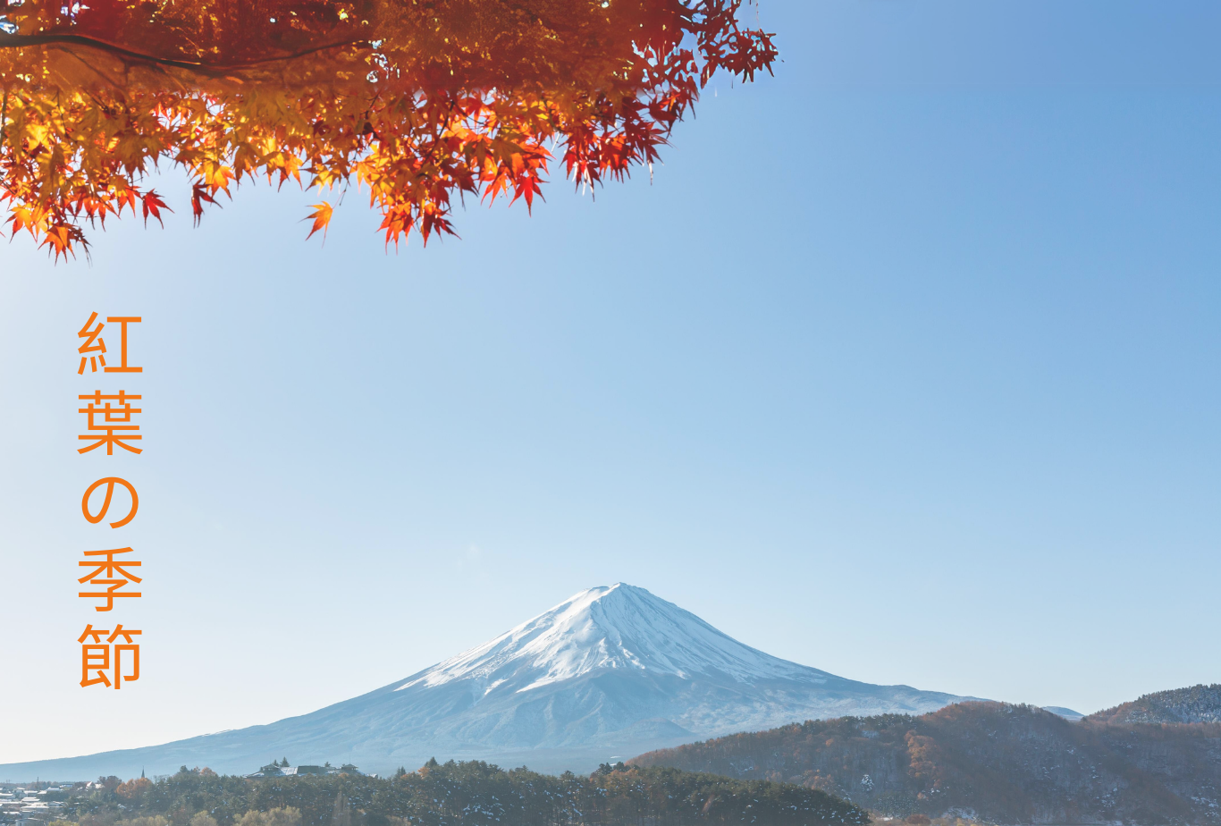 2025 Japan Maple Leaves Pre-Wedding Photoshoot Promotion