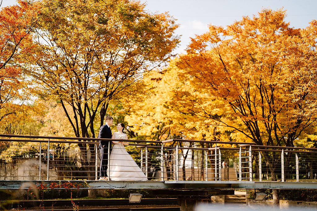 Korea Autumn Pre-wedding