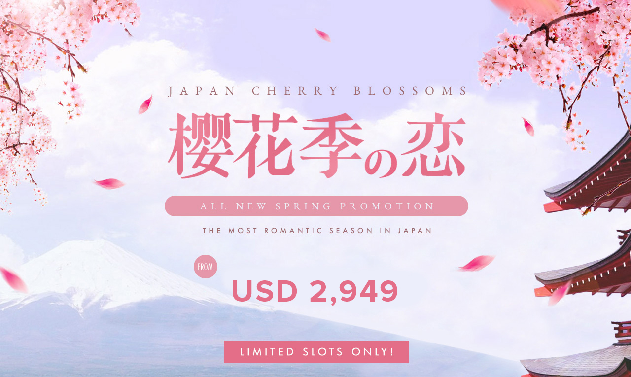 Cherry Blossoms Sakura Pre Wedding Photography In Japan