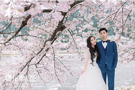 Cherry Blossoms Sakura Pre Wedding Photography In Kyoto Nara