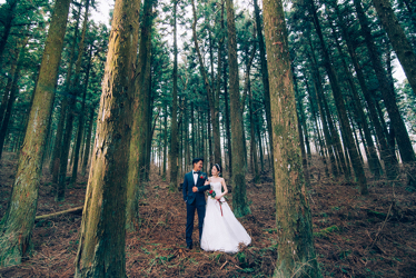 Bijarim Forest Korea Pre-Wedding Location