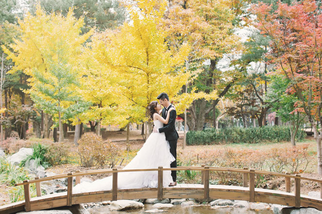 Nami Island Korea Winter Snow Pre-Wedding