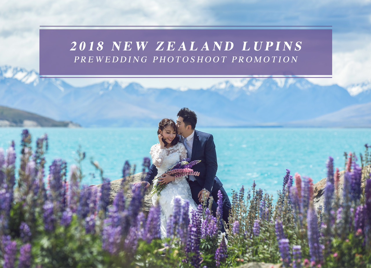 New Zealand Lupins Pre Wedding Photography Onethreeonefour 2018 New Zealand Lupins Pre Wedding Photoshoot Promotion
