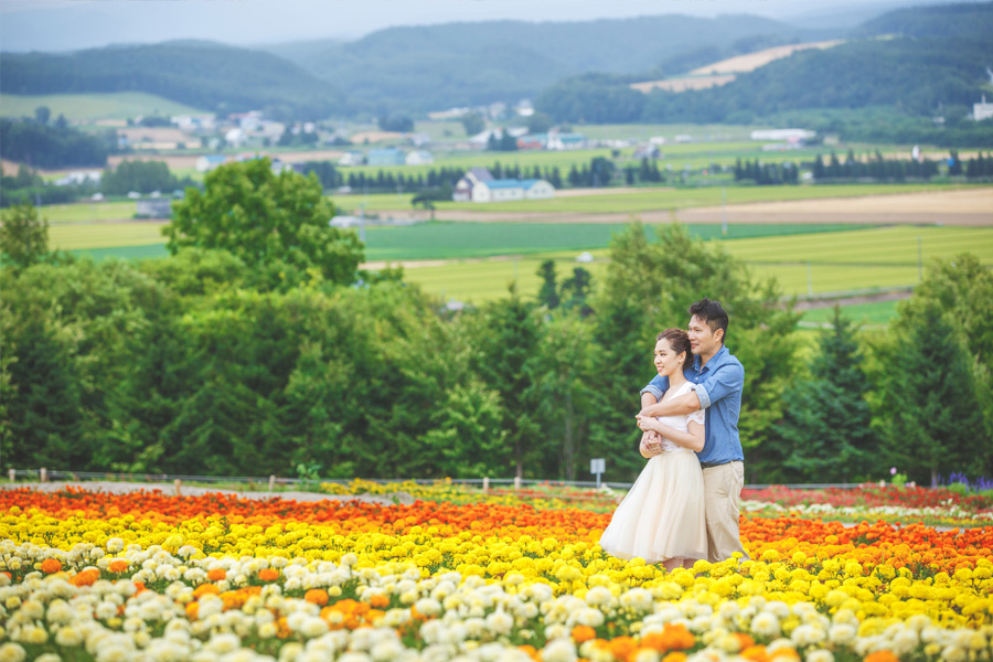 Hokkaido Japan Colorful Flowers Blossoms Sample