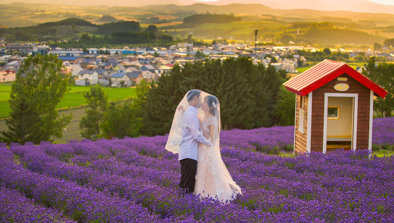 Lavenders Japan Hookaido Pre-Wedding Photoshoot