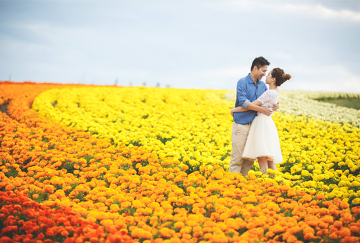 Furano Colourful Flower Fields Hokkaido Japan Pre-Wedding Promotion