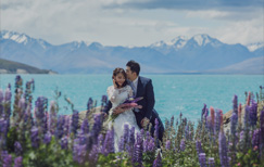 Lupins Pre-wedding New Zealand