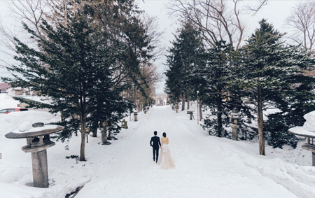 Hokkaido Winter