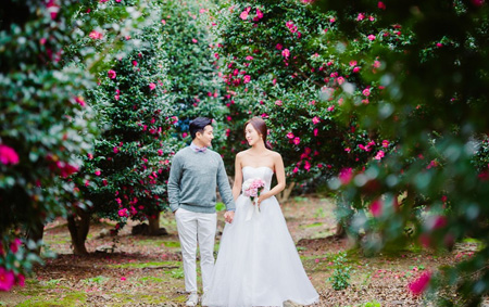 Jeju Camellia
