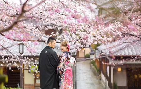 Kyoto Japan Cherry Blossoms Season