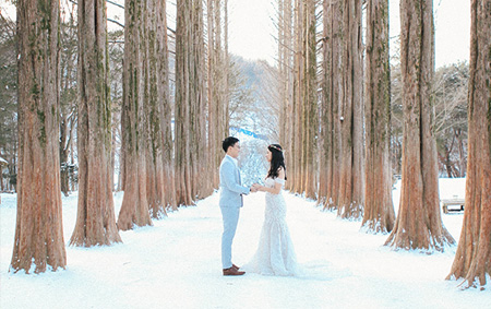 Nami Island Winter Scene