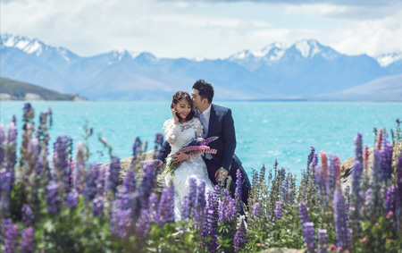 New Zealand Lupins